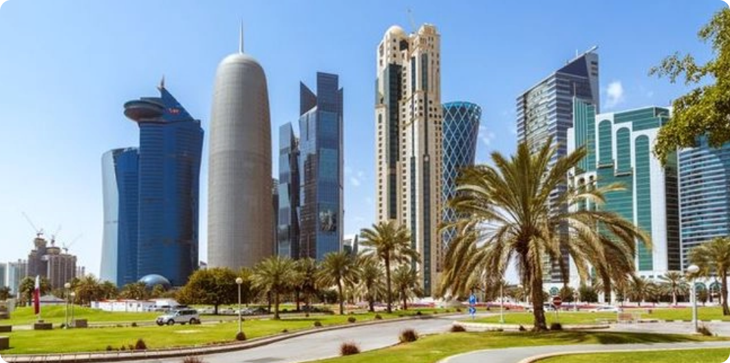 حول المبادرة
